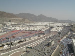 Best in 2026 100 Percent Cricket Betting Guides: Step-by-Step Guide for India (2026)